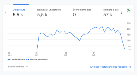 Une graphique Google Analytics sur le nombres de visites d'un site web 